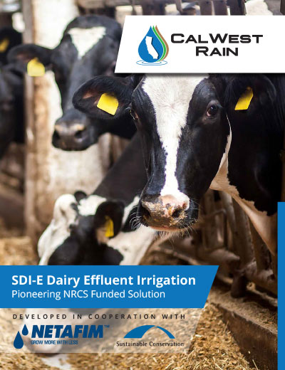 Dairy effluent irrigation with SDI