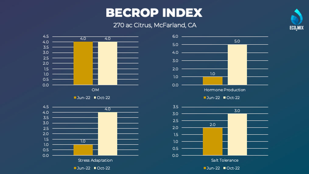 BeCrop® index chart with carbonic acid pH control