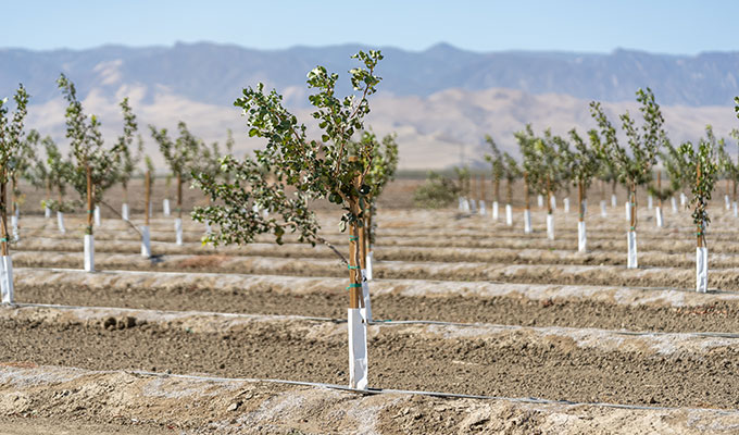 Design & construction services